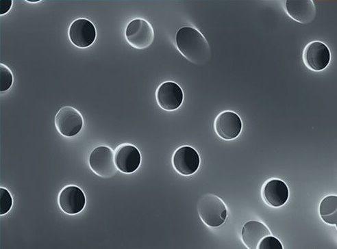聚碳酸酯膜显微图.jpg