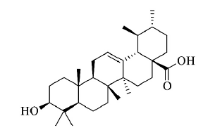 熊果酸结构式.png