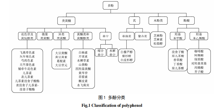 多酚分类