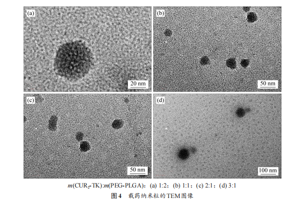 载药纳米粒的TEM图像