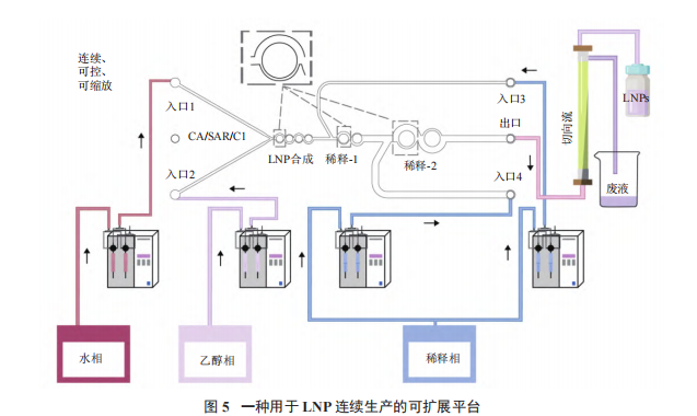 一种用于 LNP 连续生产的可扩展平台