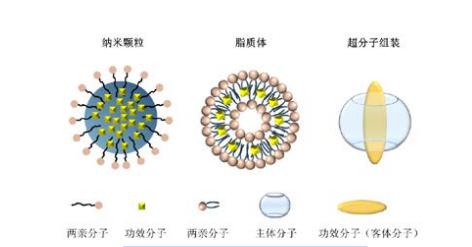  纳米颗粒、脂质体及超分子组装示意图。