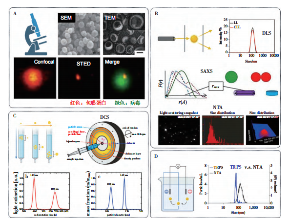 图 3　粒径的测定方法