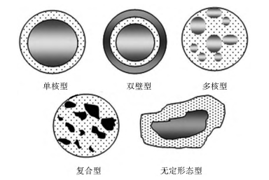 图 1 几种微胶囊形态示意图