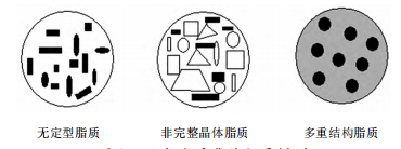 图 3 纳米脂质载体包覆模型