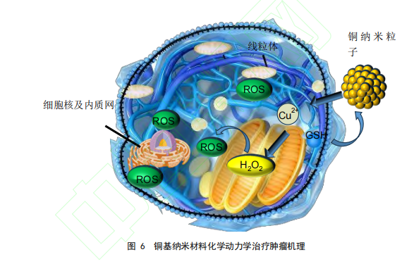 图 6 铜基纳米材料化学动力学治疗肿瘤机理